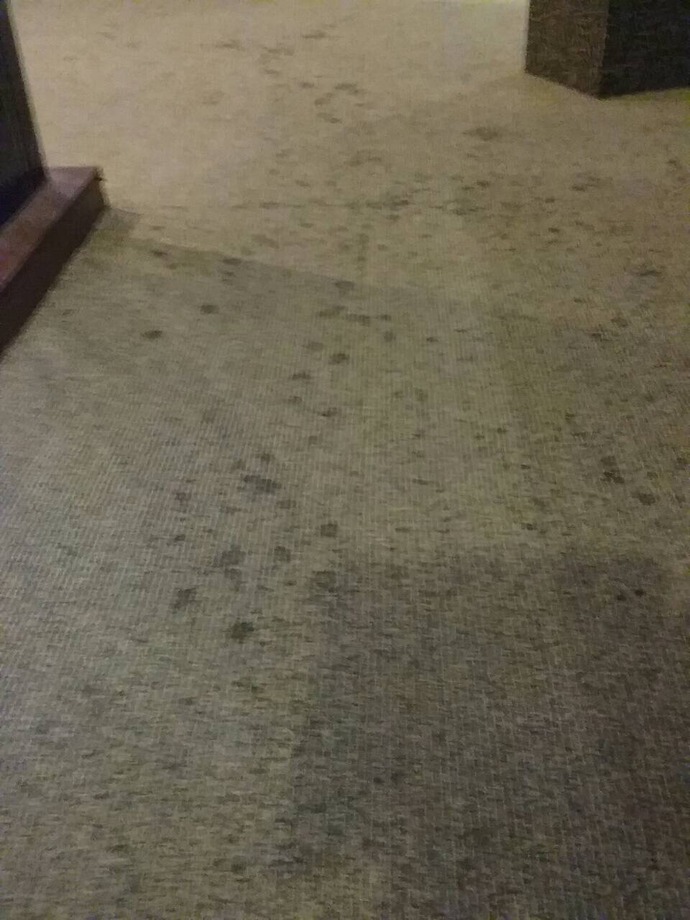 地毯清洗前 (1)